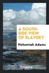 A South-Side View of Slavery