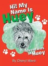 Hi! My Name Is Huey