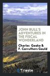 John Bull's Adventures in the Fiscal Wonderland