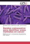 Bandeo cromosómico para identificar áreas metiladas en cáncer