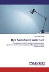 Dye Sensitized Solar Cell