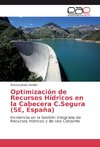 Optimización de Recursos Hídricos en la Cabecera C.Segura (SE, España)