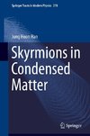 Skyrmions in Condensed Matter