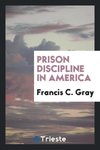 Prison Discipline in America