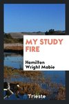 My Study Fire