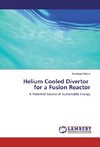 Helium Cooled Divertor for a Fusion Reactor