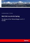 Bird Life in an Arctic Spring