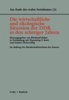 Die wirtschaftliche und ökologische Situation der DDR in den 80er Jahren