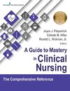 A Guide to Mastery in Clinical Nursing