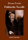 Politische Novelle