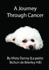 A Journey Through Cancer