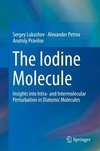 Lukashov, S: Iodine Molecule