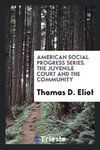 American Social Progress Series. The Juvenile Court and the Community