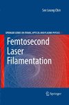 Femtosecond Laser Filamentation