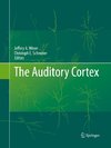 The Auditory Cortex