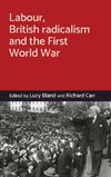 Labour, British radicalism and the First World War