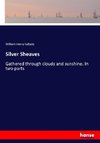 Silver Sheaves