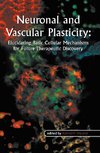 Neuronal and Vascular Plasticity