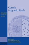 Cosmic Magnetic Fields