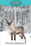 Reindeer