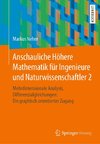 Anschauliche Höhere Mathematik für Ingenieure und Naturwissenschaftler 2