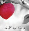 In Loving Memory Funeral Guest Book, Celebration of Life, Wake, Loss, Memorial Service, Condolence Book, Church, Funeral Home, Thoughts and In Memory Guest Book (Hardback)