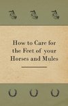 How to Care for the Feet of your Horses and Mules