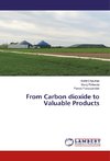 From Carbon dioxide to Valuable Products