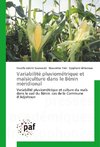 Variabilité pluviométrique et maïsiculture dans le Bénin méridional