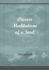 Diverse Meditations of a Soul
