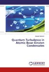 Quantum Turbulence in Atomic Bose-Einsten Condensates