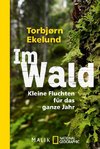 Im Wald