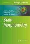 Brain Morphometry