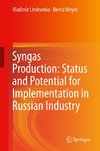 Syngas Production: Status and Potential for Implementation in Russian Industry