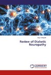 Review of Diabetic Neuropathy