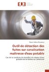 Outil de détection des fuites sur canalisation maîtresse d'eau potable