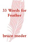 33 Words for Feather