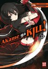 Akame ga KILL! 13