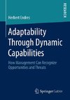 Adaptability Through Dynamic Capabilities