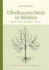 Obstbaumschnitt in Bildern