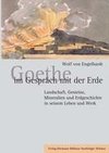 Goethe im Gespräch mit der Erde