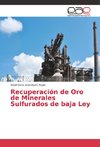 Recuperación de Oro de Minerales Sulfurados de baja Ley