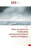 Mise en oeuvre de l'évaluation environnementale et sociale stratégique