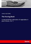 The Forcing Book