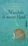 Muscheln in meiner Hand