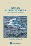 Ocean Surface Waves