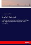 New York illustrated