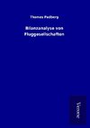 Bilanzanalyse von Fluggesellschaften