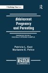 East, P: Adolescent Pregnancy and Parenting