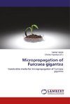 Micropropagation of Furcraea gigantea